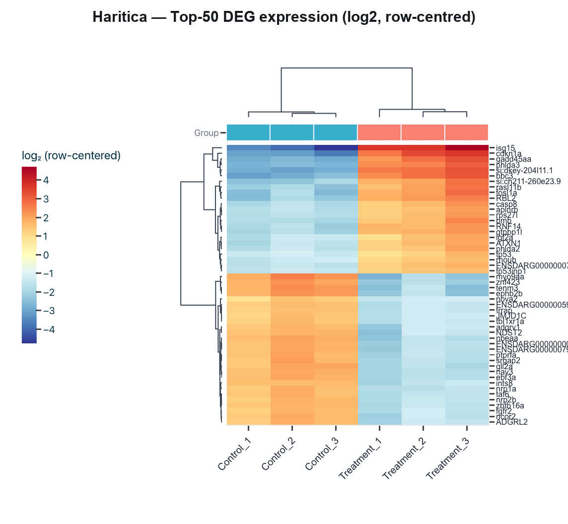 Haritica top-50 DEG expression heatmap