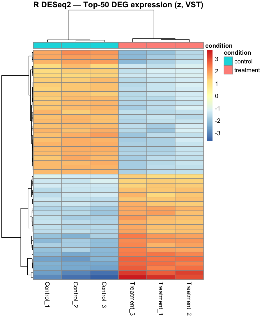 R top-50 DEG expression heatmap