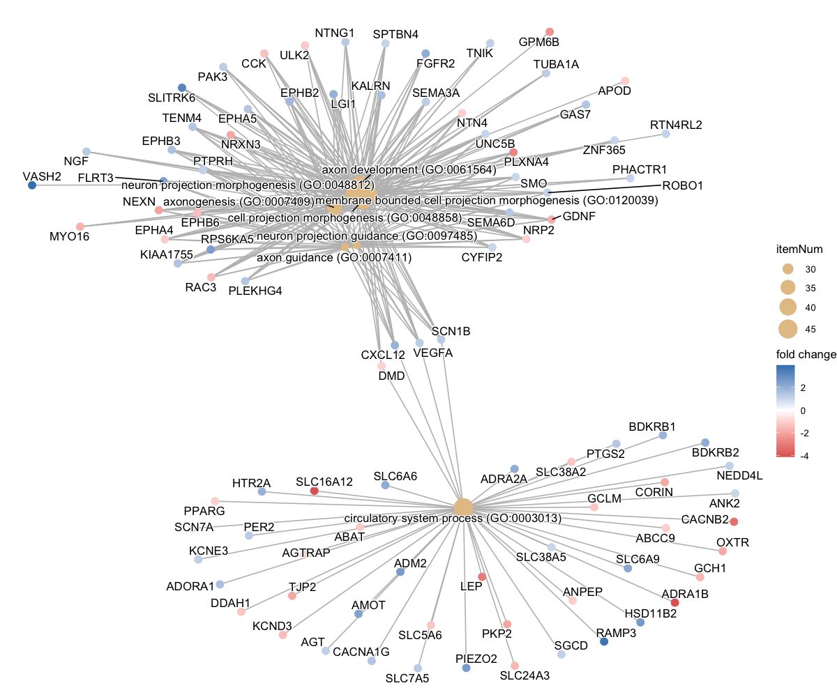 clusterProfiler cnetplot