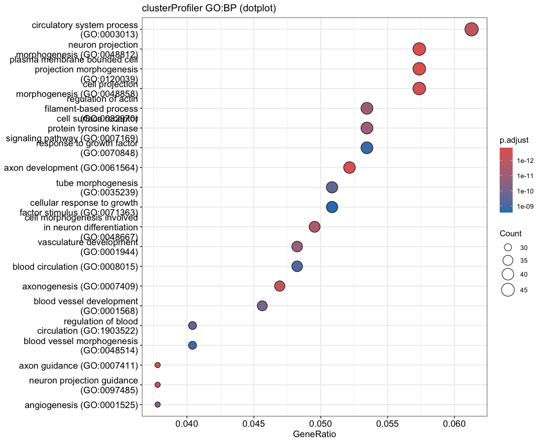 clusterProfiler dotplot