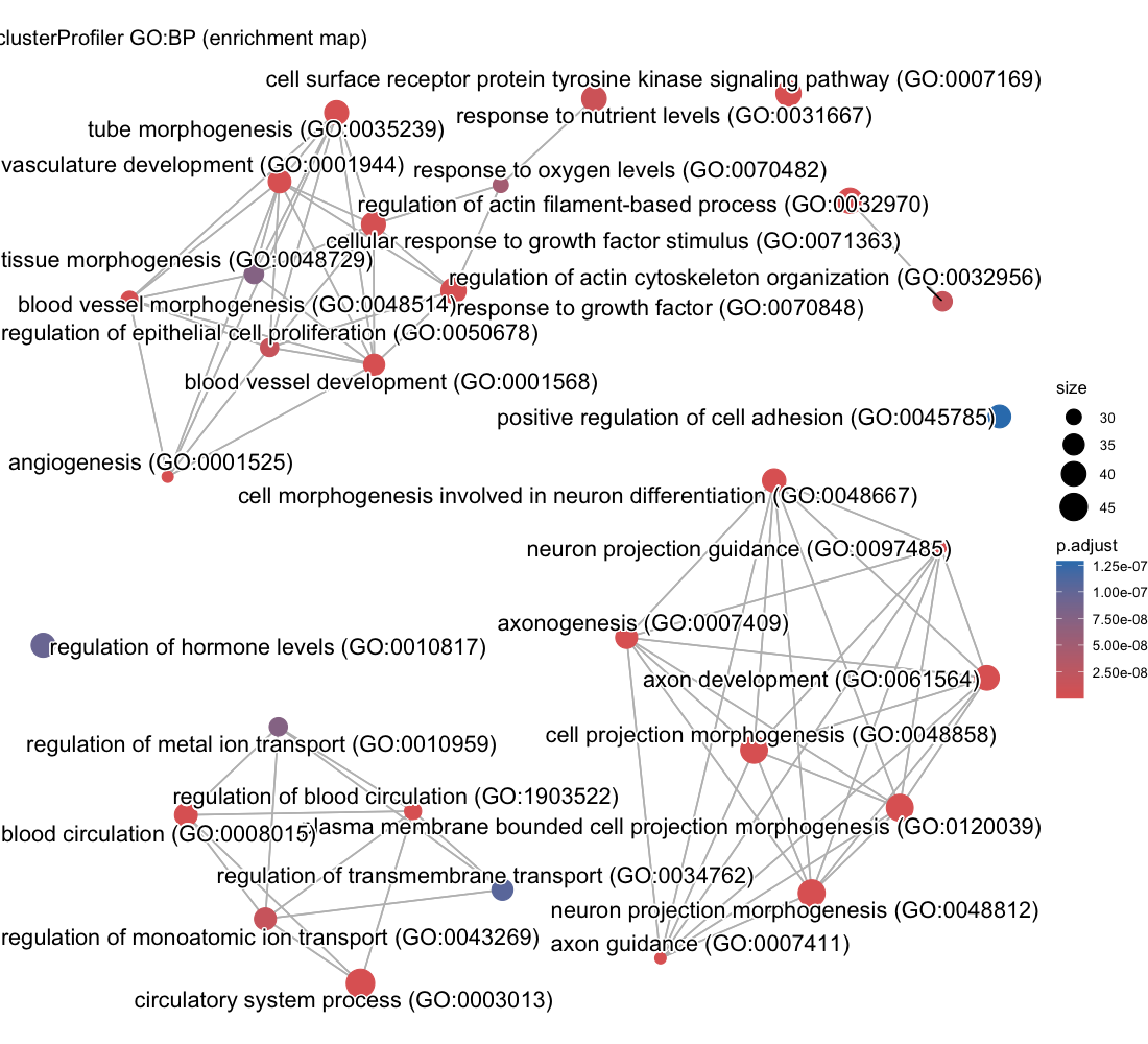 clusterProfiler emapplot