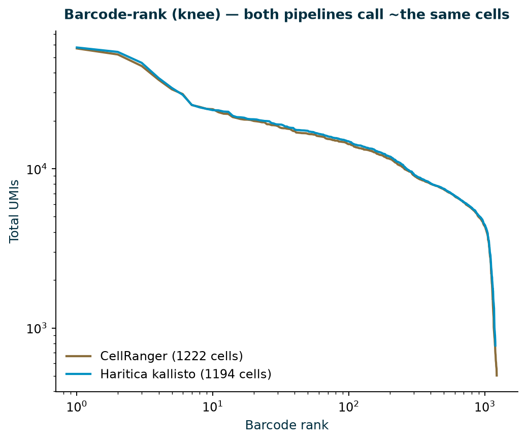Barcode-rank knee plots for both pipelines, calling ~the same number of cells