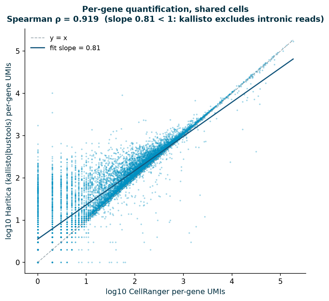 Log-log scatter of per-gene UMIs, CellRanger vs Haritica kallisto, Spearman 0.92, slope 0.81