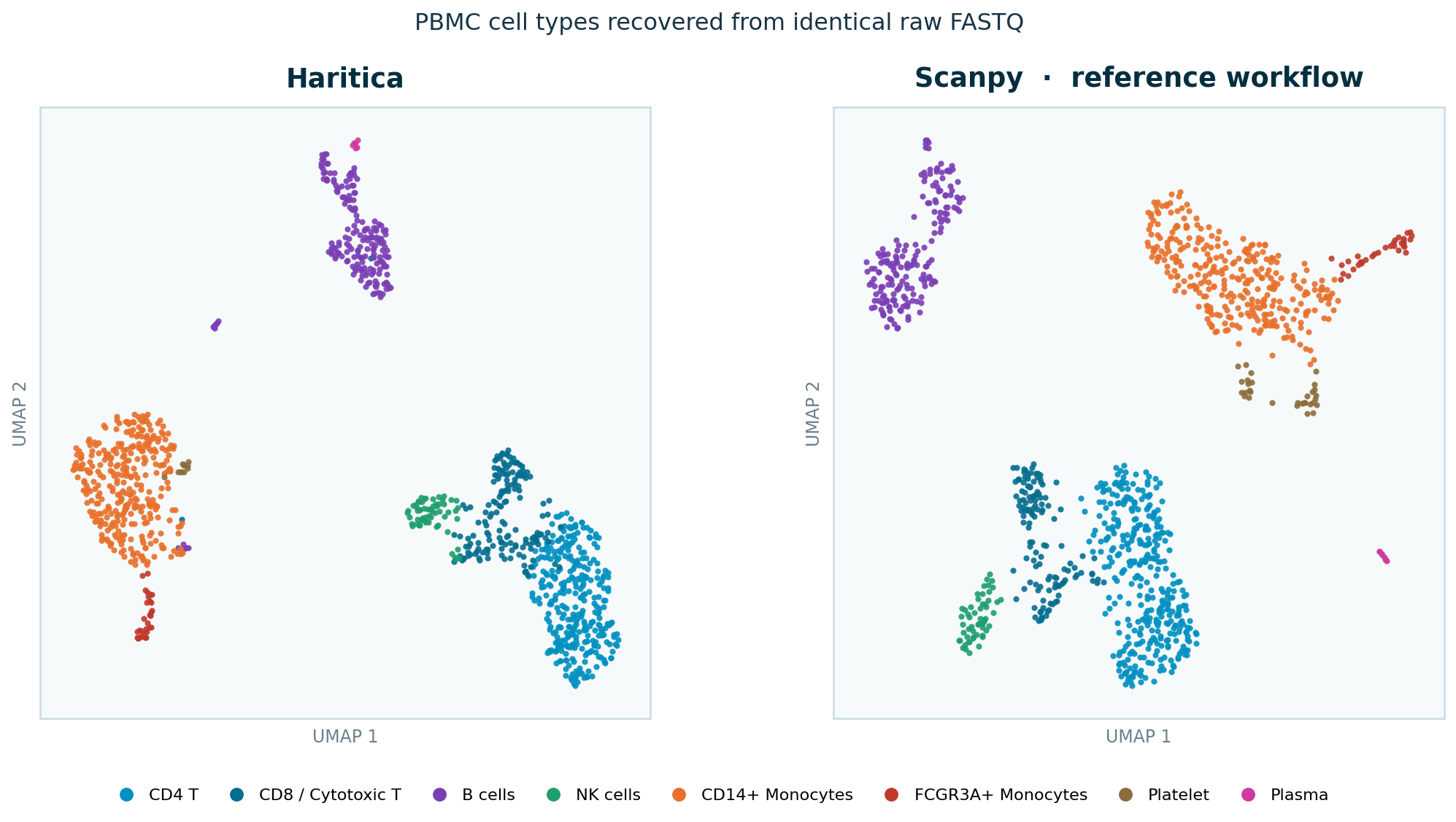 UMAP coloured by cell type; Haritica (left) versus Scanpy reference (right) on identical raw FASTQ