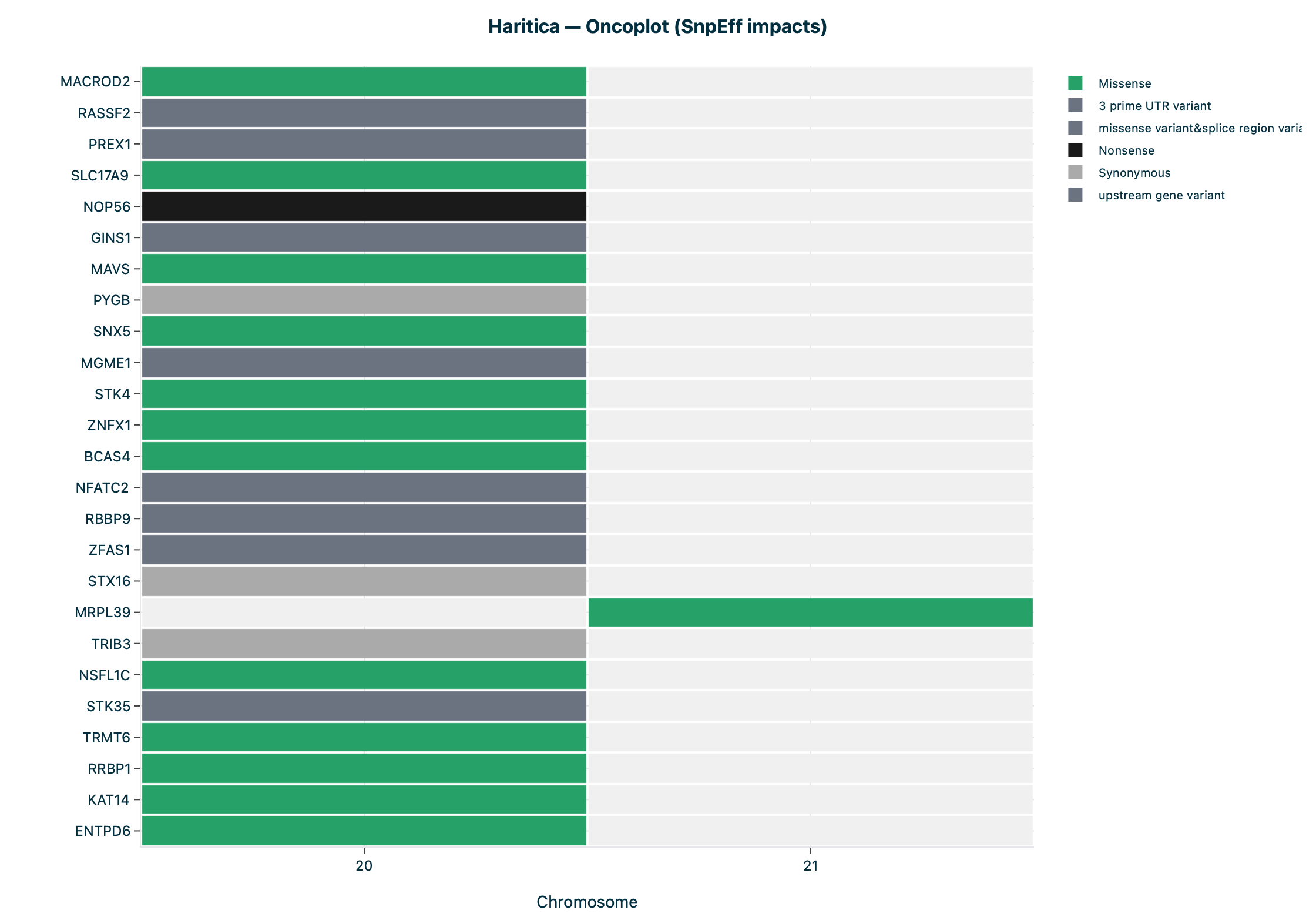 Haritica oncoplot, single sample