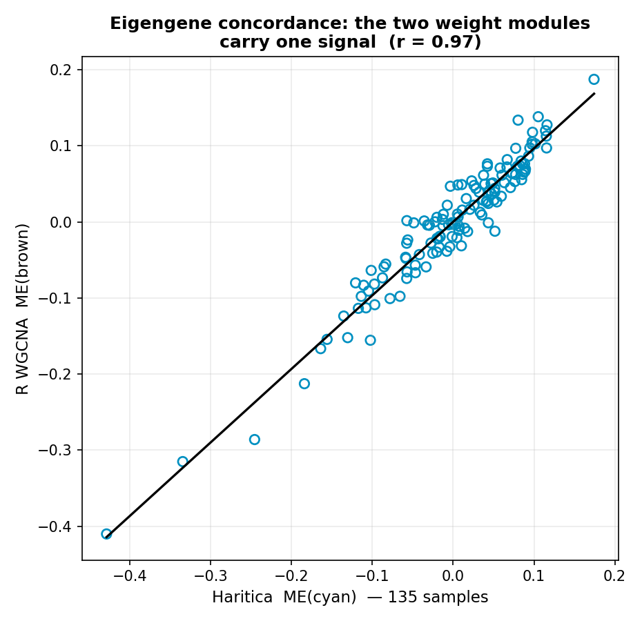 Module eigengene concordance: Haritica cyan vs R WGCNA brown, r = 0.966