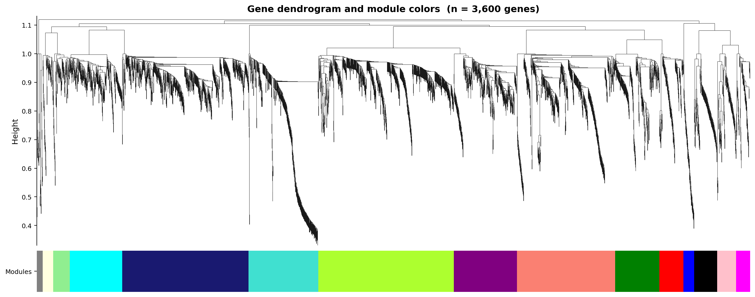 Haritica gene dendrogram with module colors