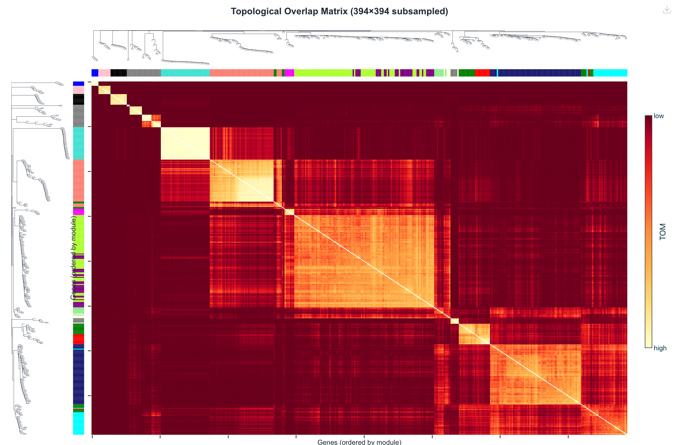 Haritica TOM heatmap