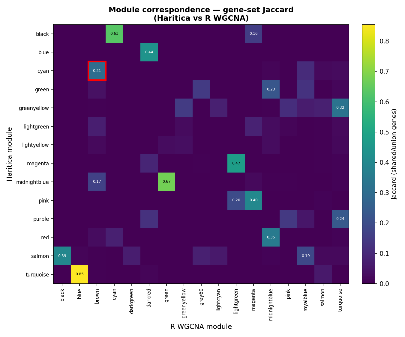 Module correspondence by gene overlap between Haritica and R WGCNA