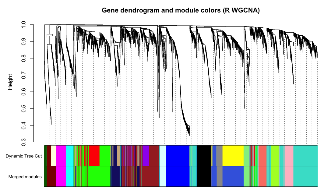 R WGCNA gene dendrogram with module colors