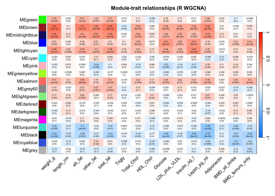 R WGCNA module-trait relationships heatmap