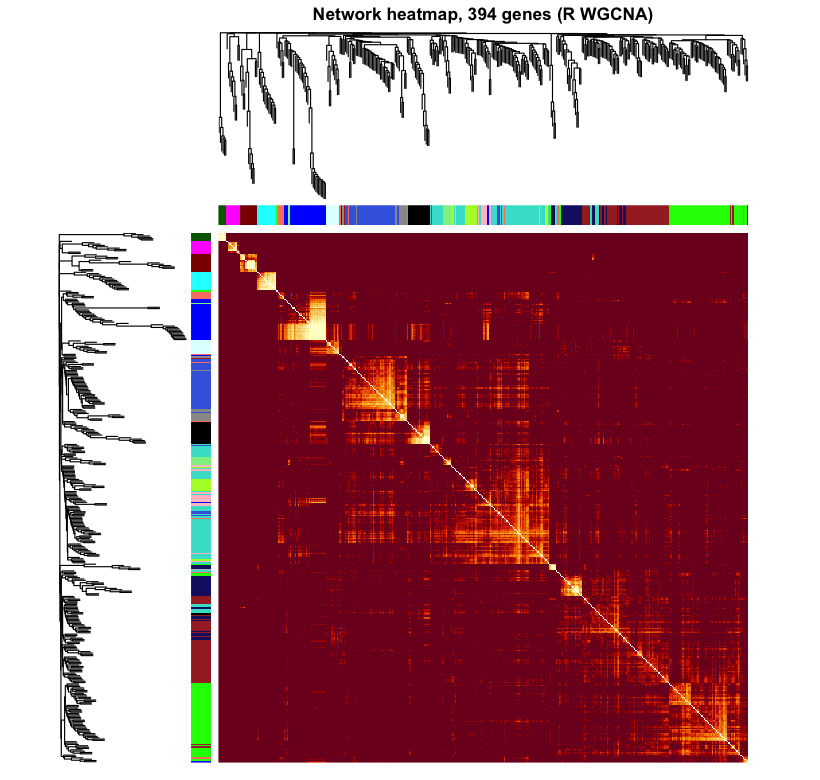 R WGCNA TOM network heatmap